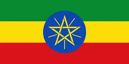 100 g – 100% Arabica Single Origin – Éthiopie (Afrique)